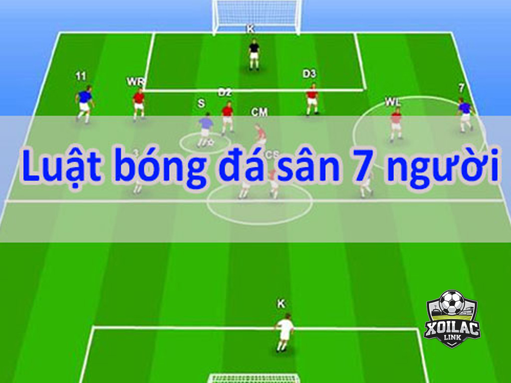 luat-bong-da-san-7-nguoi