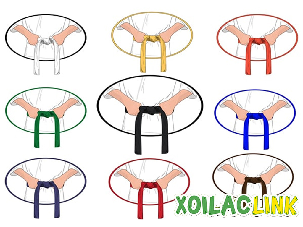 Hệ thống đai trong võ thuật: Từ đai Taekwondo đến đai đen Karate