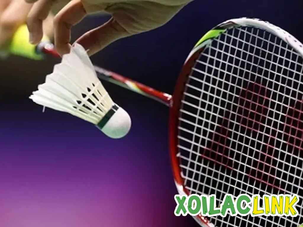 Toàn tập cầu lông – Từ cách chọn vợt đến kỹ thuật thi đấu đỉnh cao