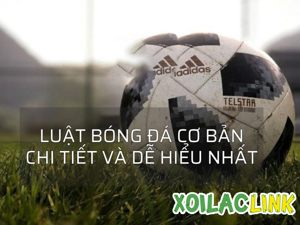 Luật bóng đá: Tìm hiểu chi tiết luật 5 người, 7 người và 11 người